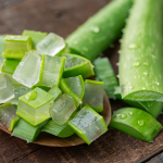 The Miraculous Benefits of Aloe Vera: Nature's Healing Plant